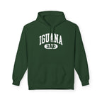 Iguana Dad Hoodie - Iguana Lover Hoodie