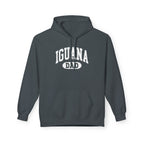 Iguana Dad Hoodie - Iguana Lover Hoodie