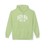 Iguana Dad Hoodie - Iguana Lover Hoodie