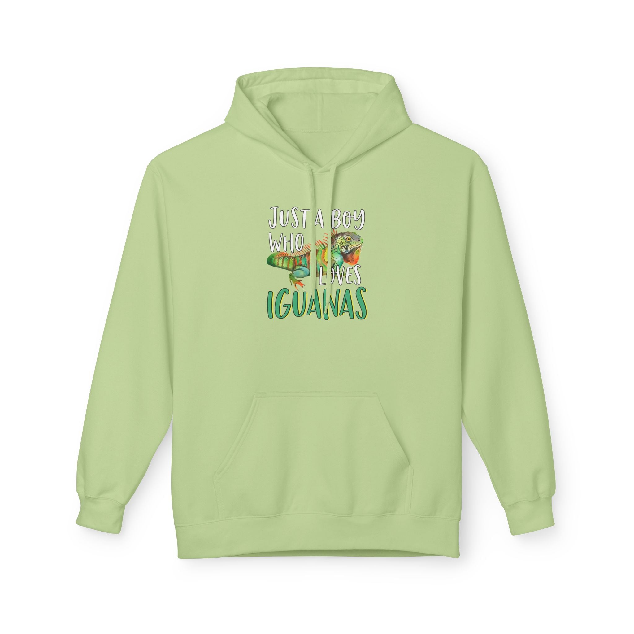 “Just A Boy Who Loves Iguanas" Hoodie - Iguana Lover Hoodie