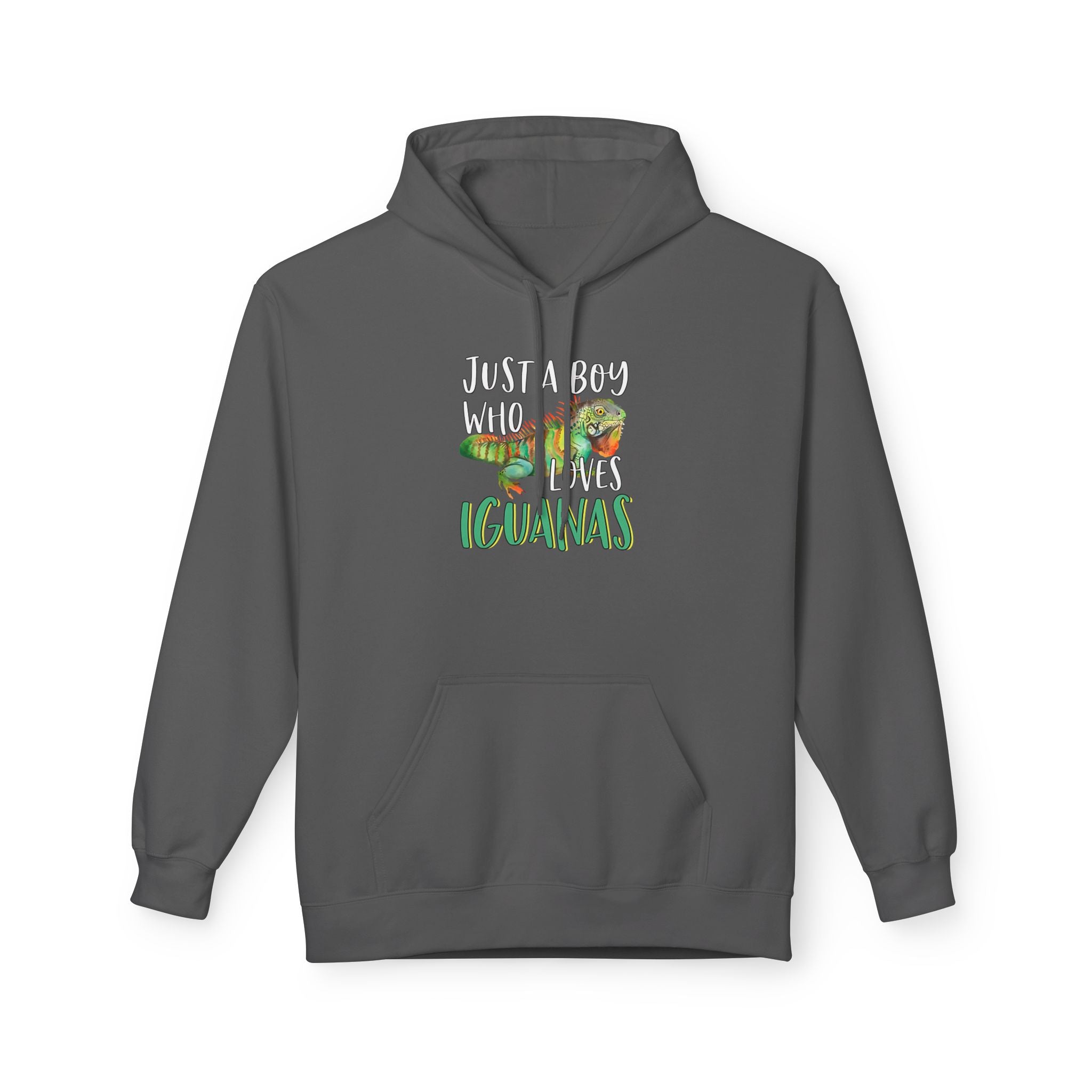 “Just A Boy Who Loves Iguanas" Hoodie - Iguana Lover Hoodie