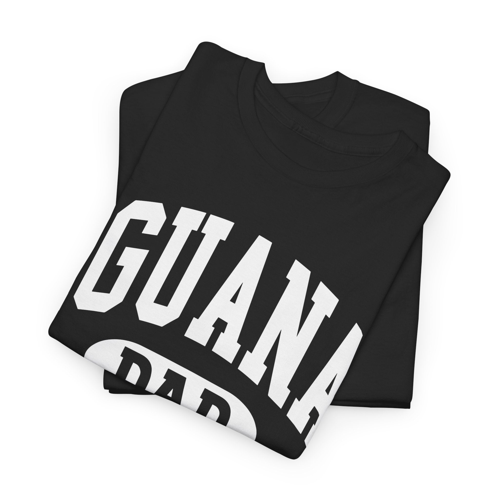 Iguana Dad T-Shirt - Iguana Lover T-Shirt